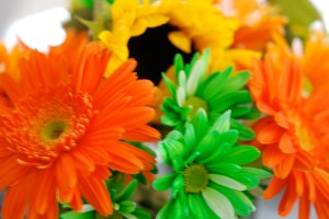 love those dye-fed flowers